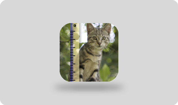 SizeMyPics for Mac(图片批量处理软件) v1.8.2专业版-阿龙软件站