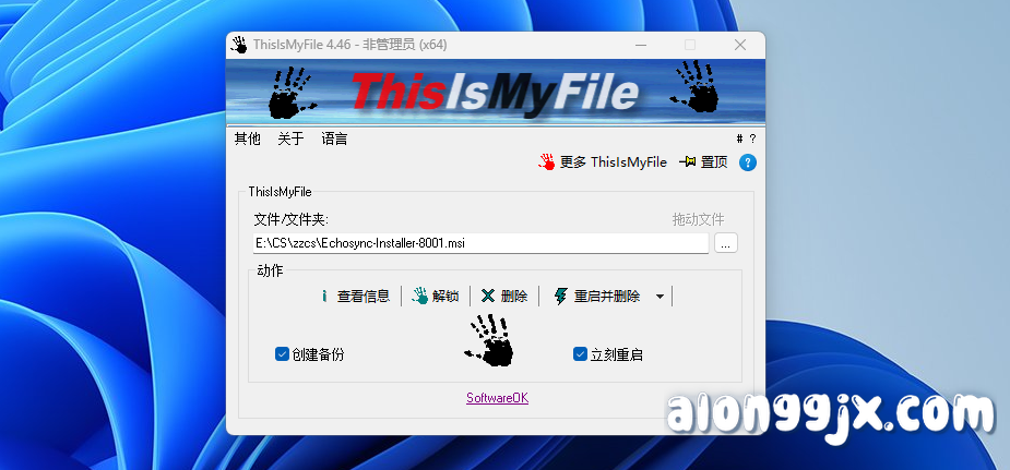 ThisIsMyFile(文件专业工具) v4.46中文绿色版